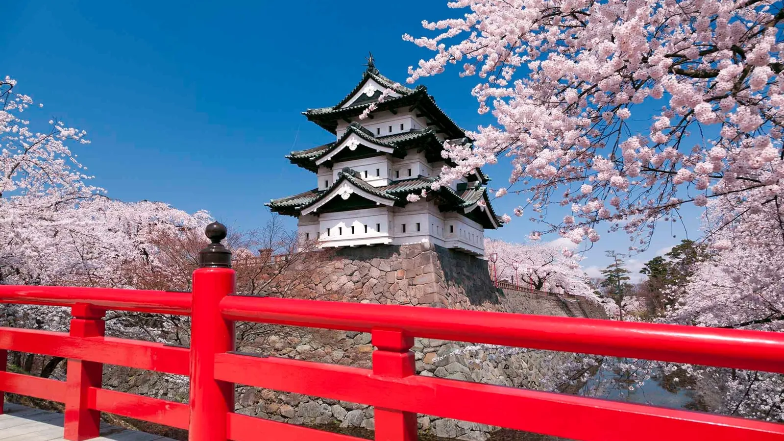 Berg Fuji in Japan